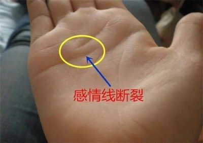 ​感情线图解男左手？手相如何？