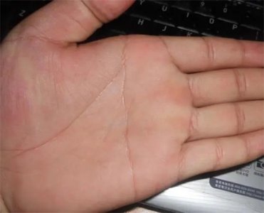 ​左手断掌的人命运怎样